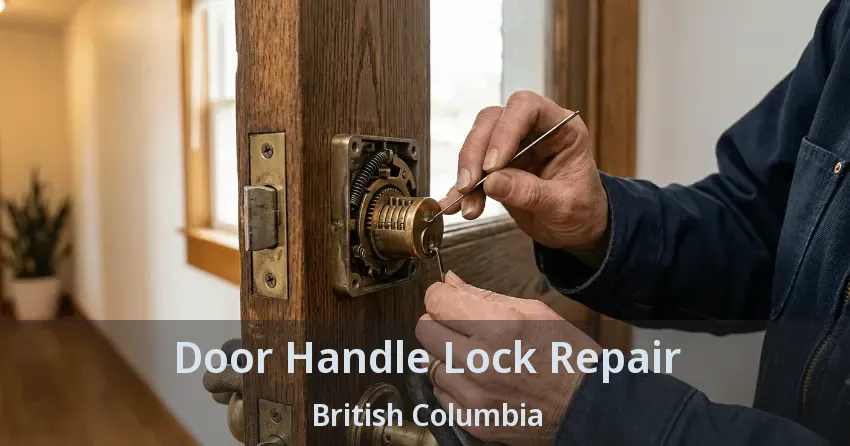 Door Handle Lock Repair British Columbia