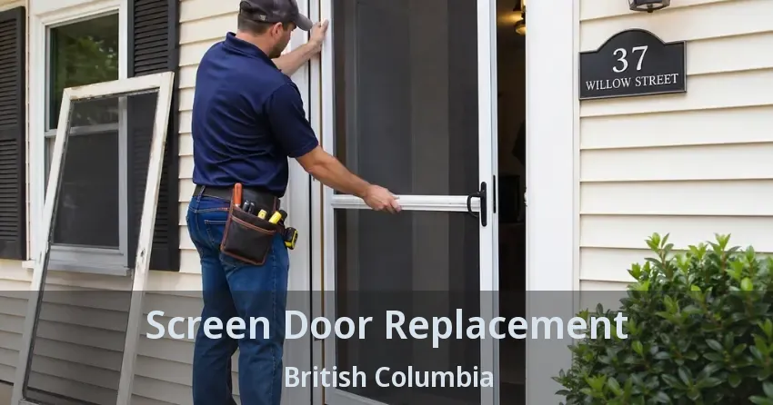 Screen Door Replacement British Columbia Screen Door Replacement British Columbia